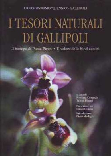 Immagine di TESORI NATURALI DI GALLIPOLI (I) IL BIOTOPO DI PUNTA PIZZO IL VALORE DELLA BIODIVERSITÀ